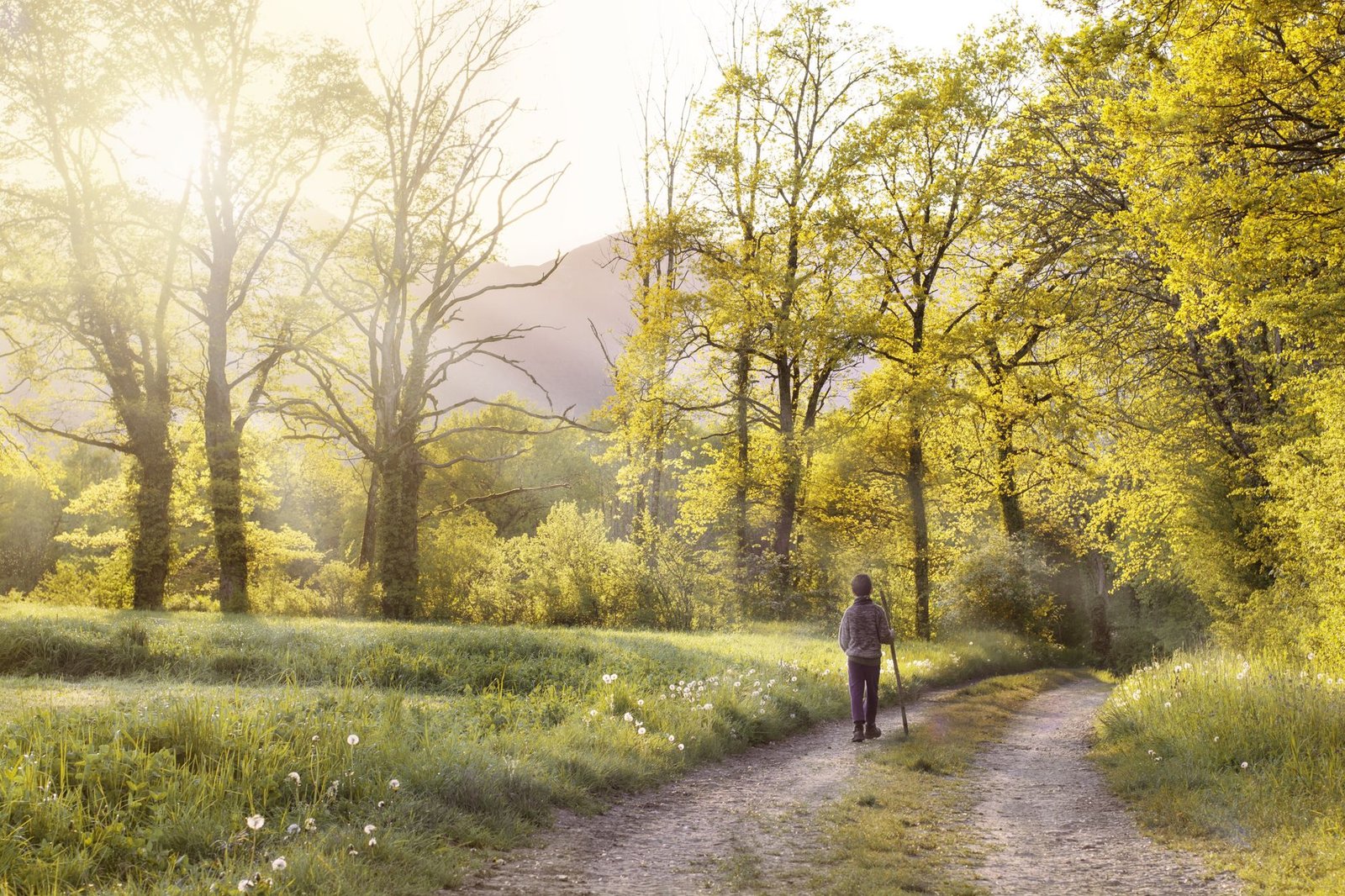 Person walking calmly outdoors, taking a mental break with no decisions to make