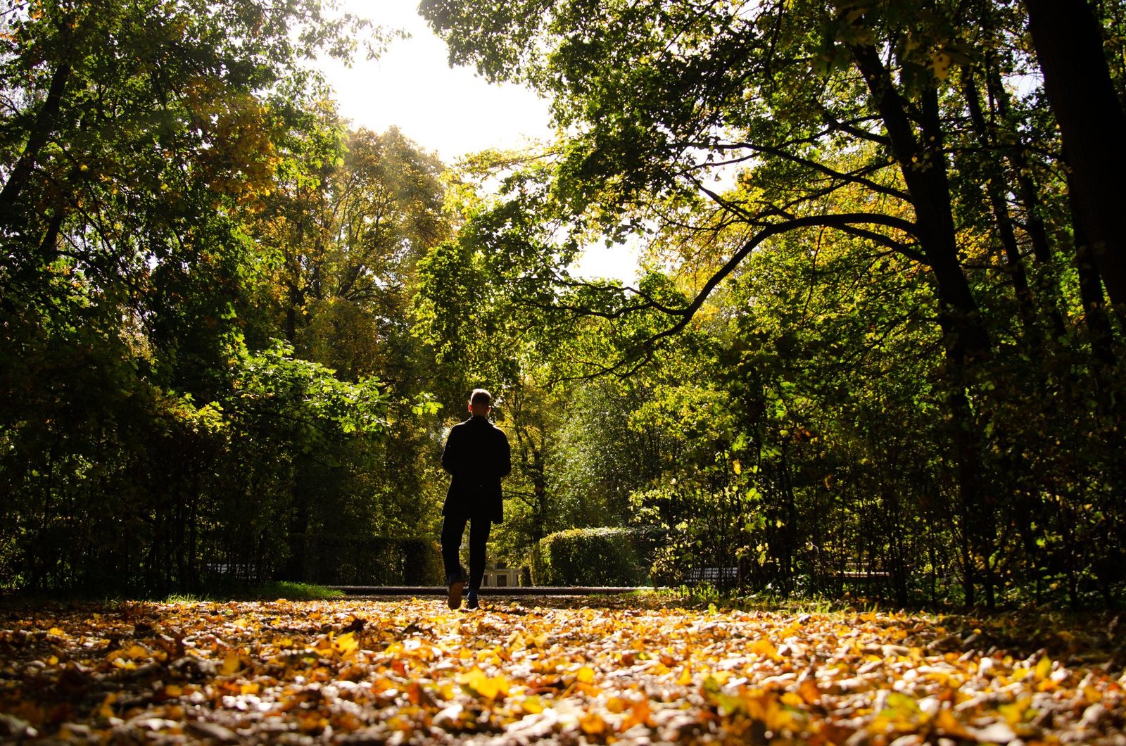 Person taking a calming walk outside to break an overthinking loop