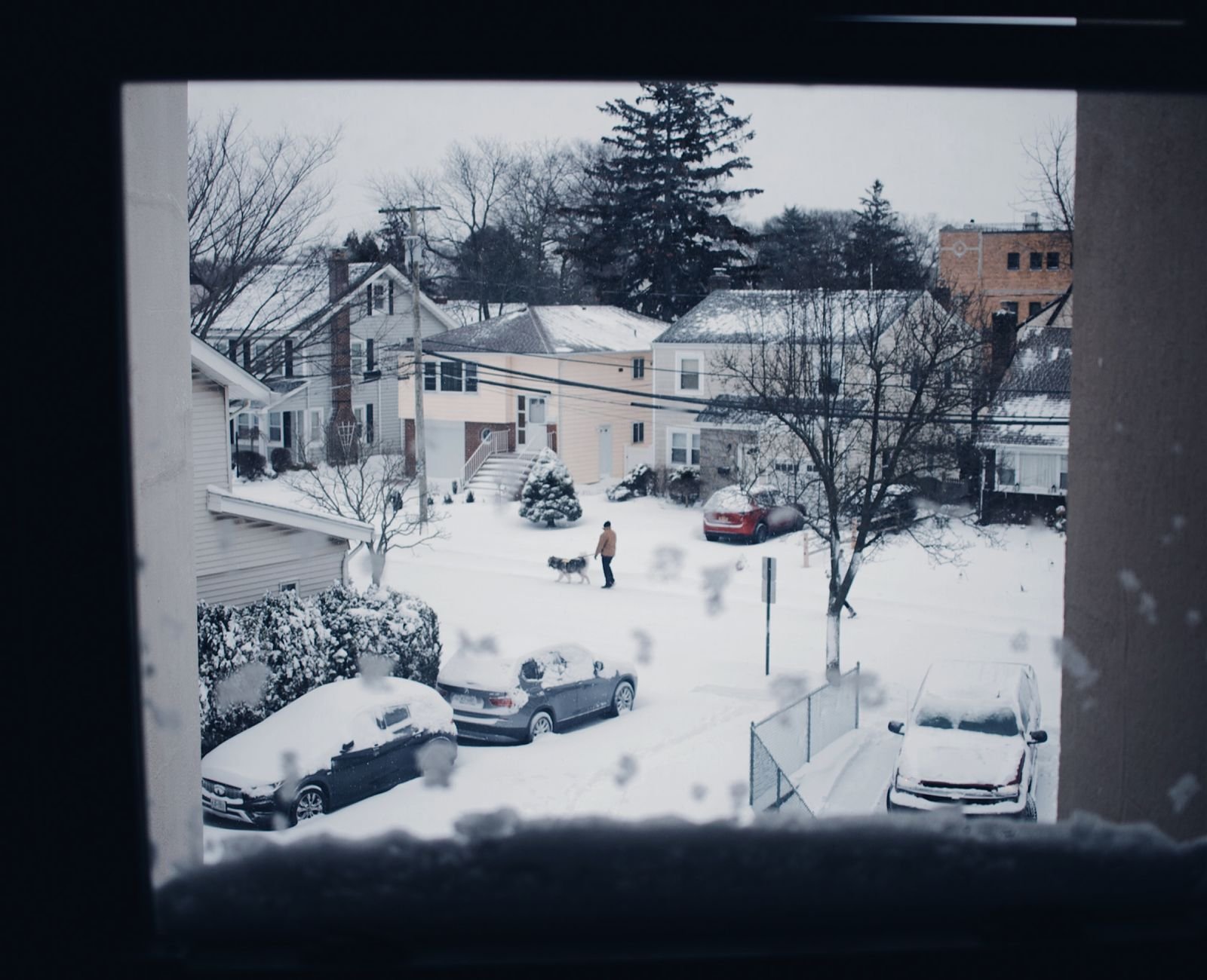 Person walking slowly through a quiet neighborhood, noticing small details on an ordinary walk