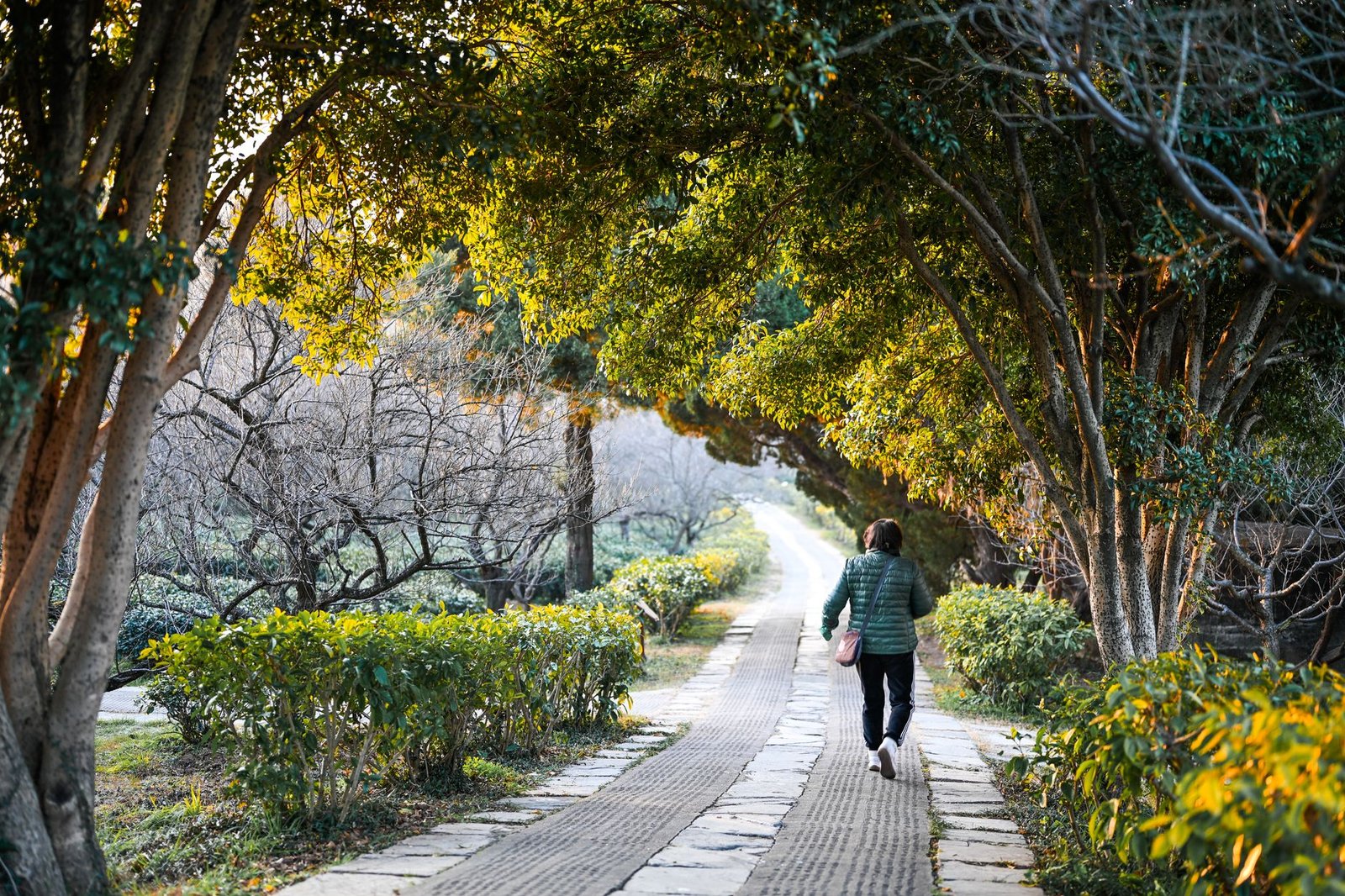 Person taking a calming walk outside in the morning light
