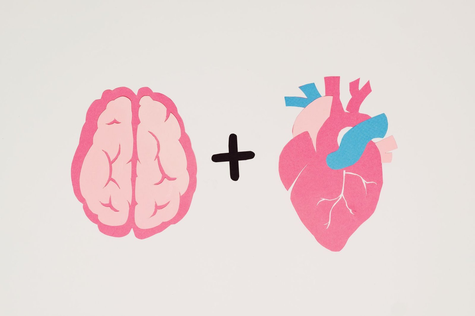 Illustration of the gut-brain connection through the nervous system